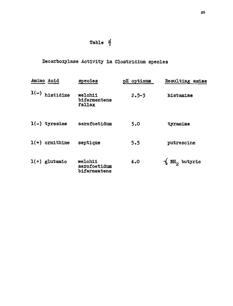 scan0176 unpub 21